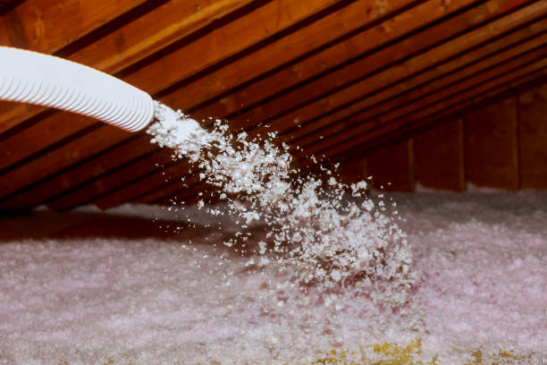 Best Insulation Maintenance and Repair in Maria Stein, OH